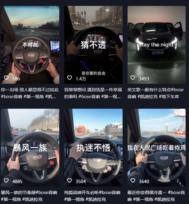 图片[1]-(1199期）抖音开车视频项目，0基础操作，每天五分钟，月入1W+-北少网创